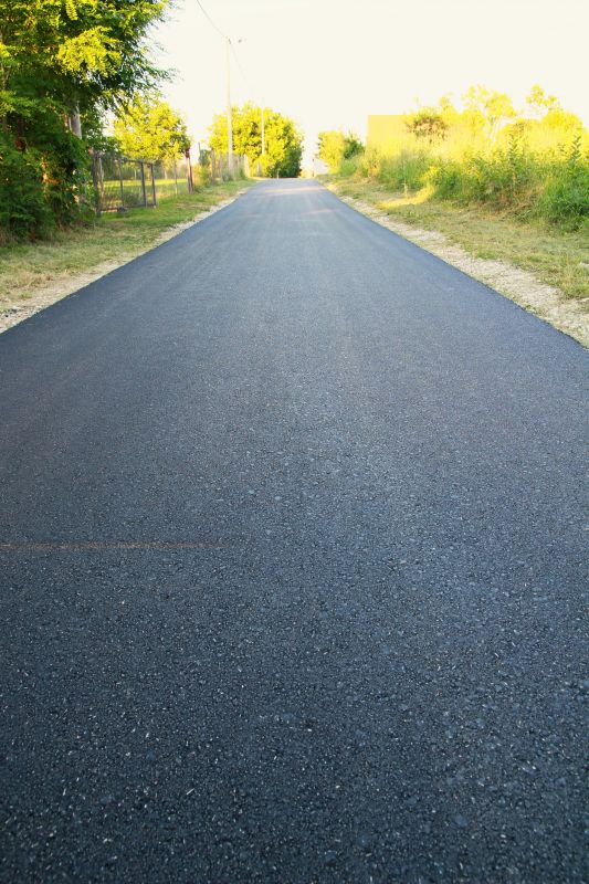 How Asphalt Sealing Protects Your Driveway From Damage